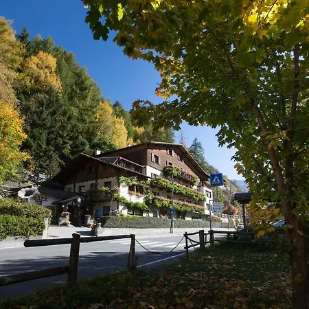 Daniela Hotel